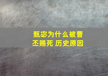 甄宓为什么被曹丕赐死 历史原因